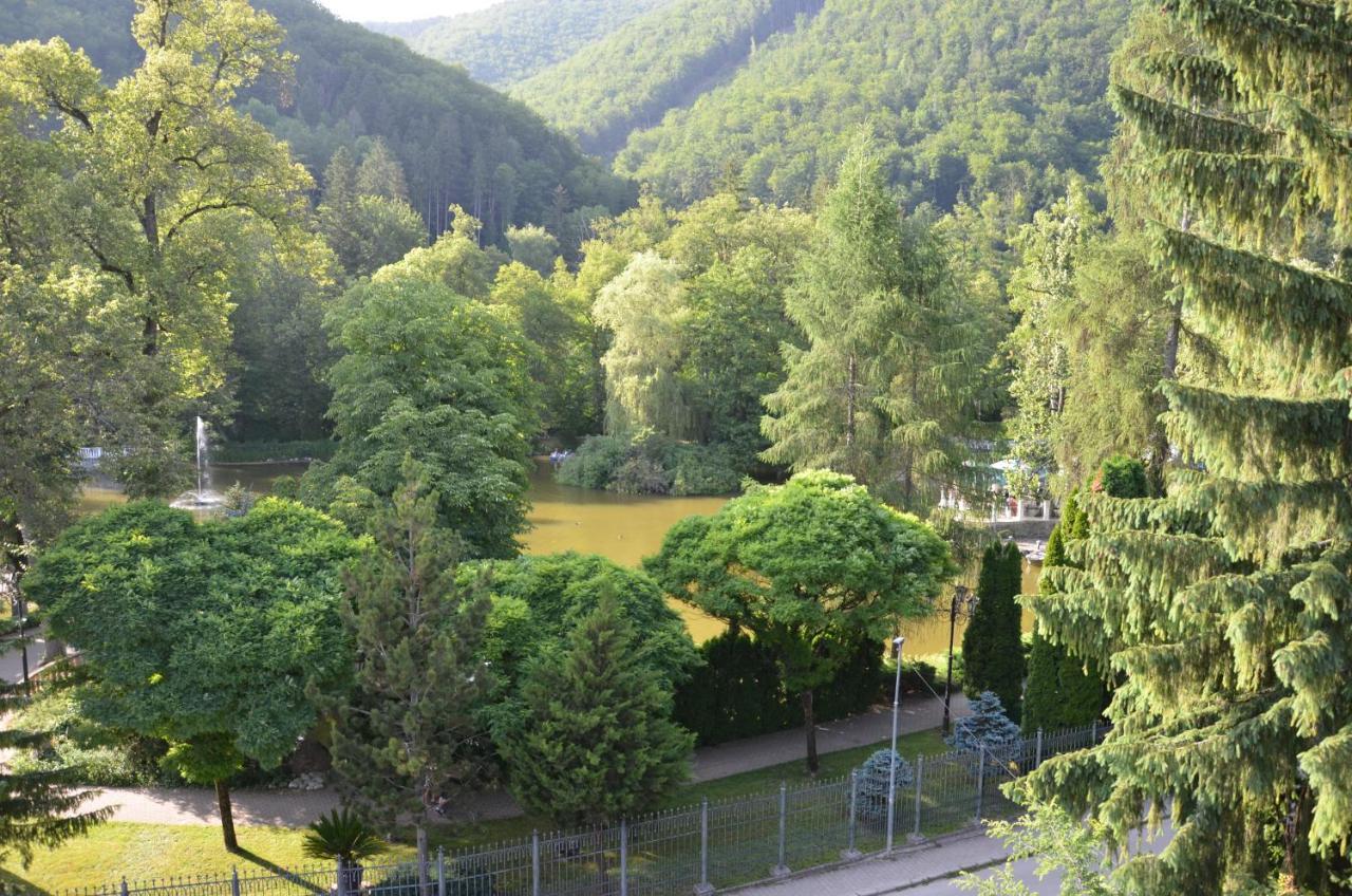Floravilla Rajecké Teplice Exterior foto